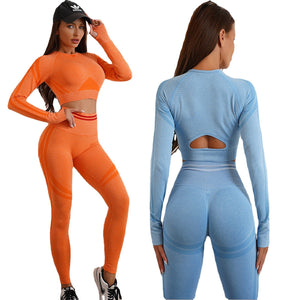 Seamless Yoga Sets Sports Fitnes High Waist Hip Raise Pants Long-Sleeved Backless Suits Workout Clothes Gym Shorts Set for Women